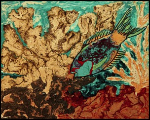 pebeo-parrotfish-2-patricia-beebe.html