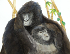 mtnGorillas