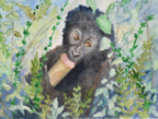 babygorilla