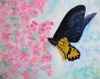 balibutterfly