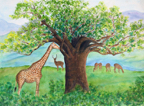 baobabGiraffe