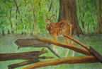 NYdeer