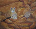 foxKitts