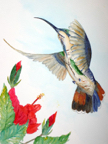 hummer-mango