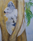 koala
