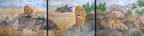 LionTriptych