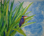 malachiteKingfisher