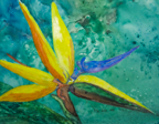 birdofparadise3