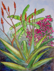 CenturyPlant