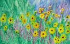 daisies