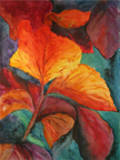 fallcolors