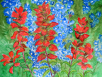 indianPaintbrush-bluebonnets