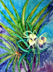 orchid