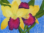 pastelOrchids