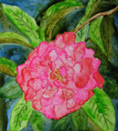 peony
