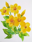 yellow