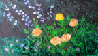SanFranWildFlowers