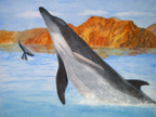 bajadolphins