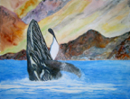 bajahumpback