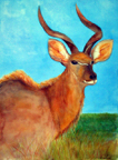 kudu