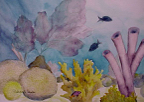 reef