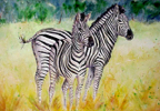 stripes-on-stripes