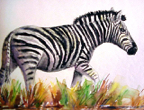 stripes