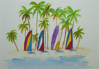 marigot