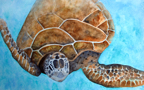 BarbadosTurtle