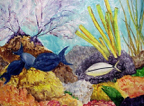 bonaire1