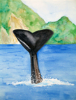 spermwhale