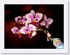 apr * (7 Slides)