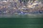 Image916 * Bubblenetting Humpback