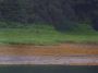Image926 * Distant Bear