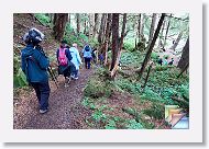 Hike * (60 Slides)