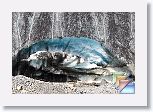 05dColumbiaIcefield * (50 Slides)