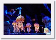 FindingNemo * (33 Slides)
