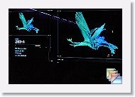 Pandora * (114 Slides)