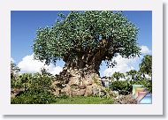 TreeOfLife * (22 Slides)