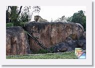 Africa * (34 Slides)