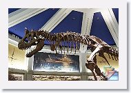 Dinoland * (7 Slides)
