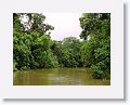 Daintree River.