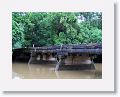 Daintree River.