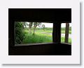 Observation blind at Hasties Swamp.
