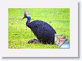 Day03 * (153 Slides)