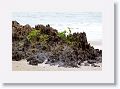 Etty Bay.
