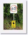 Cassowary Crossing.