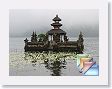 centralBali * (424 Slides)