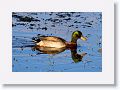 november-005