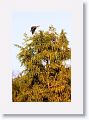 november-013
